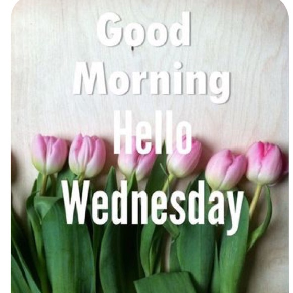 🛍️OFFERS WELCOME! 🛍️ - Picture 5 of 14